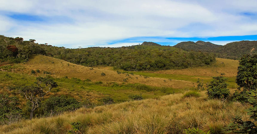 A Complete Guide to Horton Plains: Top Activities and Tips